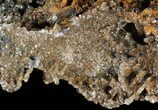 Calcite Stalactite Formation - Morocco #51837-1